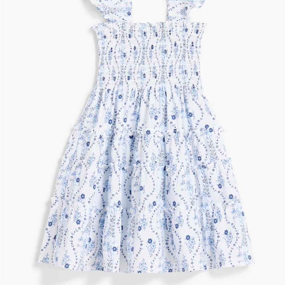 NWT Ellie Nap Dress 2/3Y